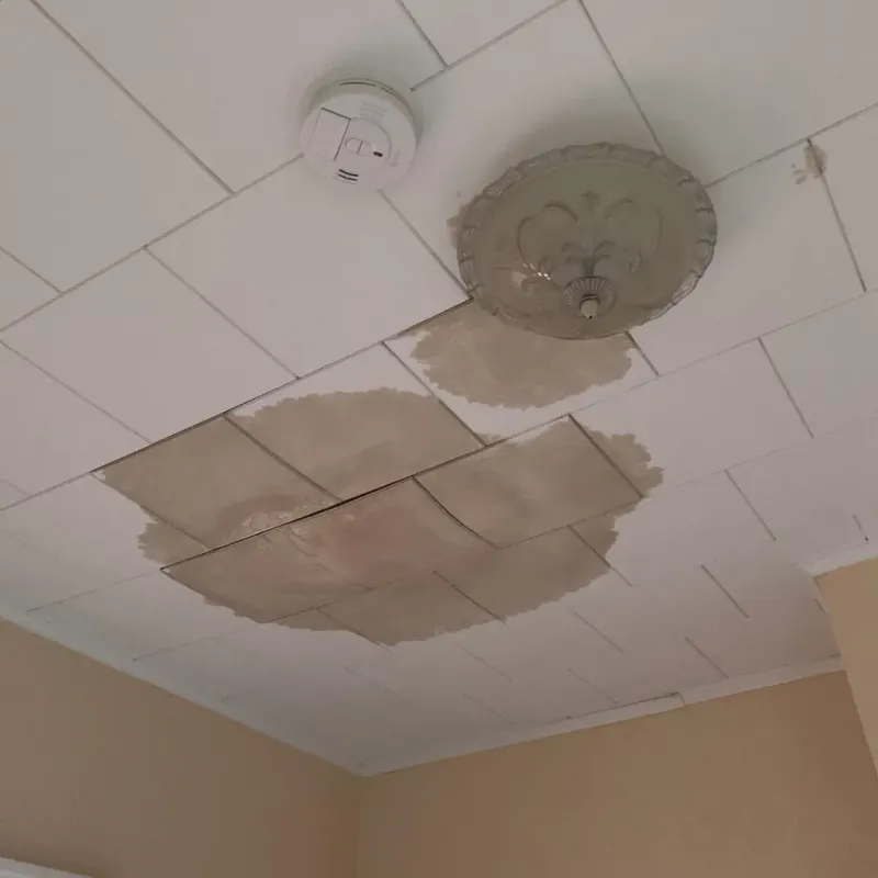 Ceiling Water Damage Repair in Maud, OK