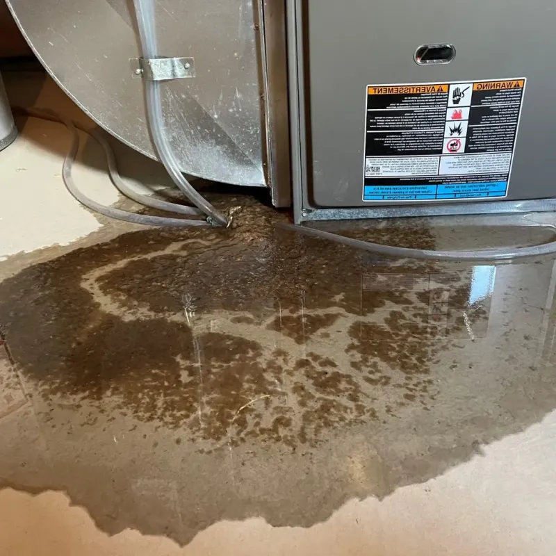 Pipe Burst and Leak Restoration in Maud, OK