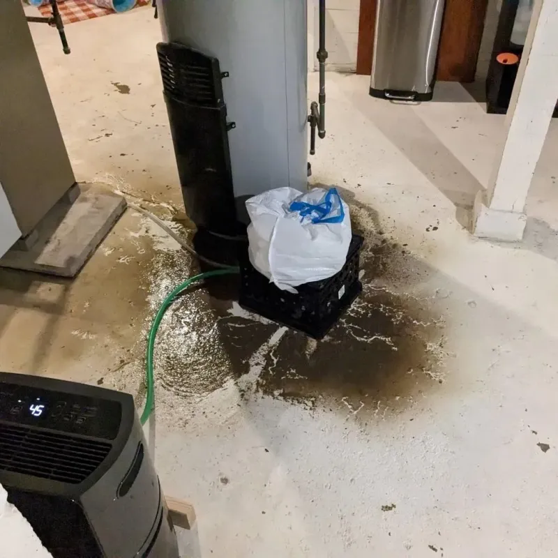 Sewage Backup Cleanup Service in Maud, OK